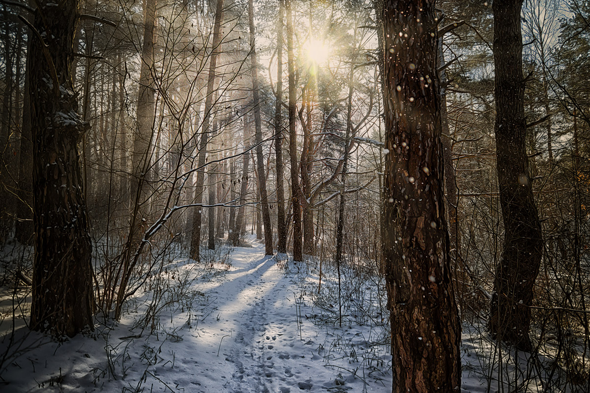 Снежный рассвет.