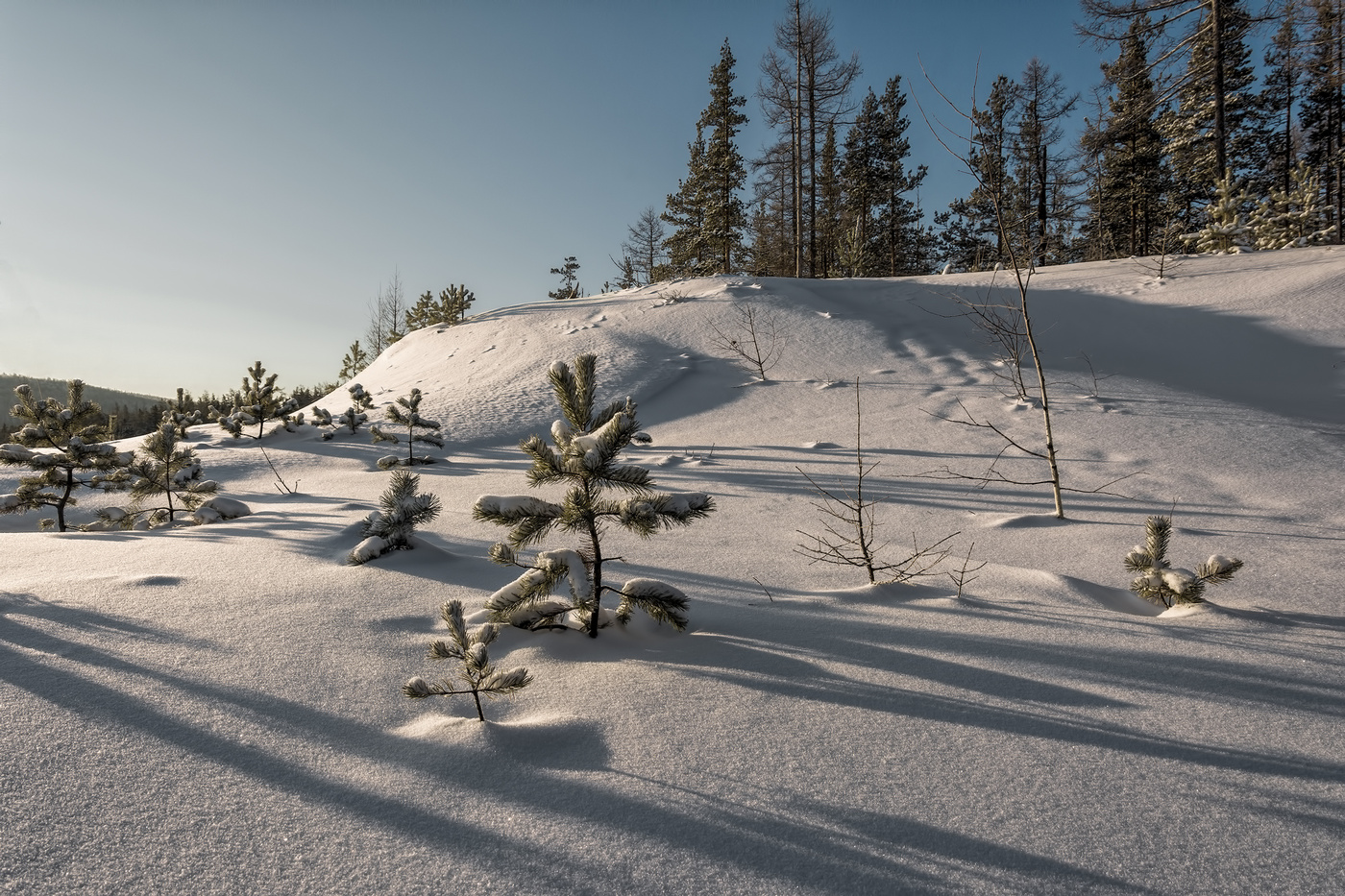 Полуденные тени