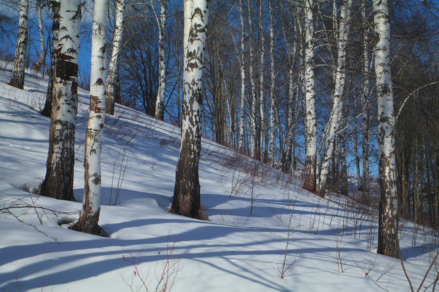 На склоне.(март)