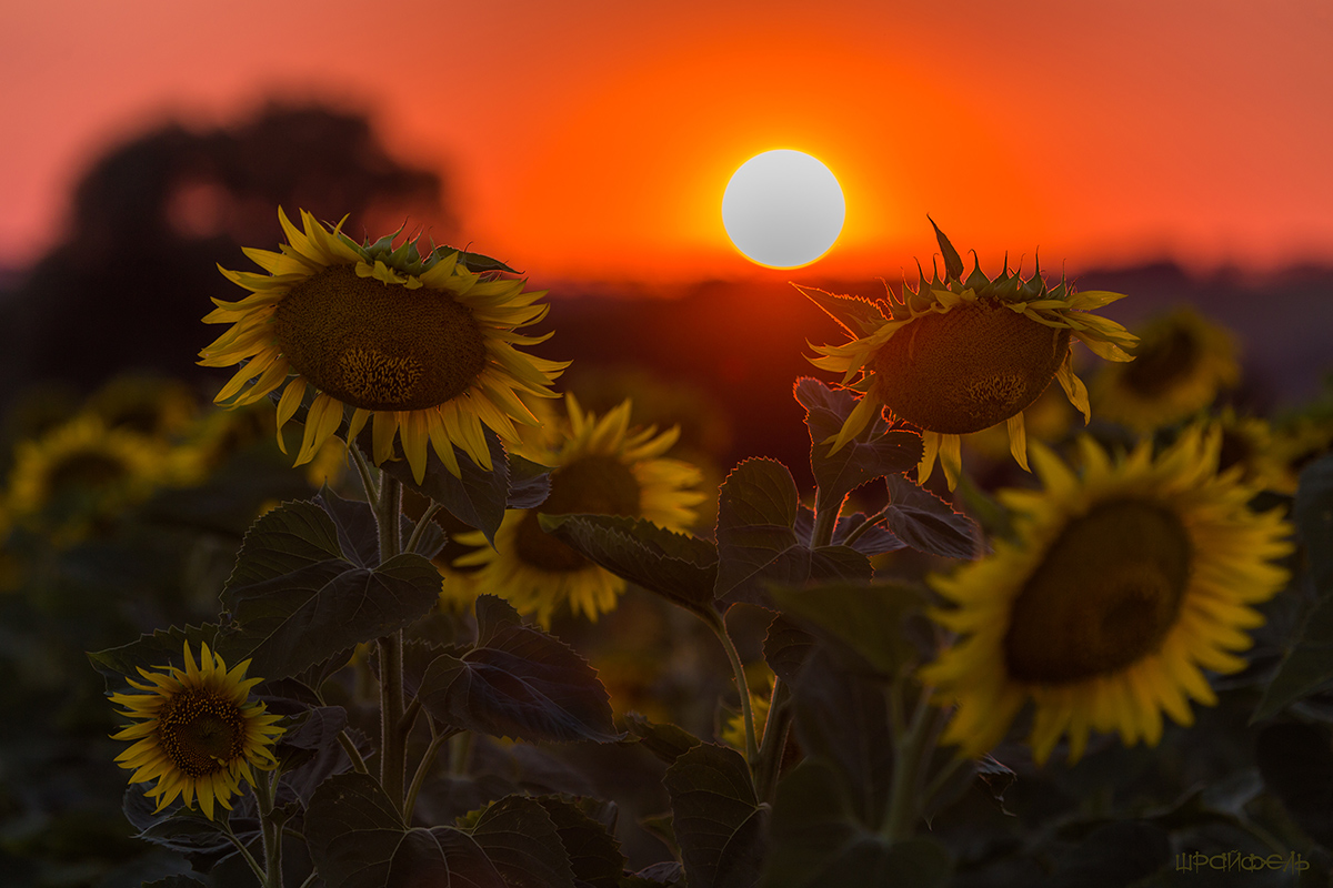 Ну и уходи...