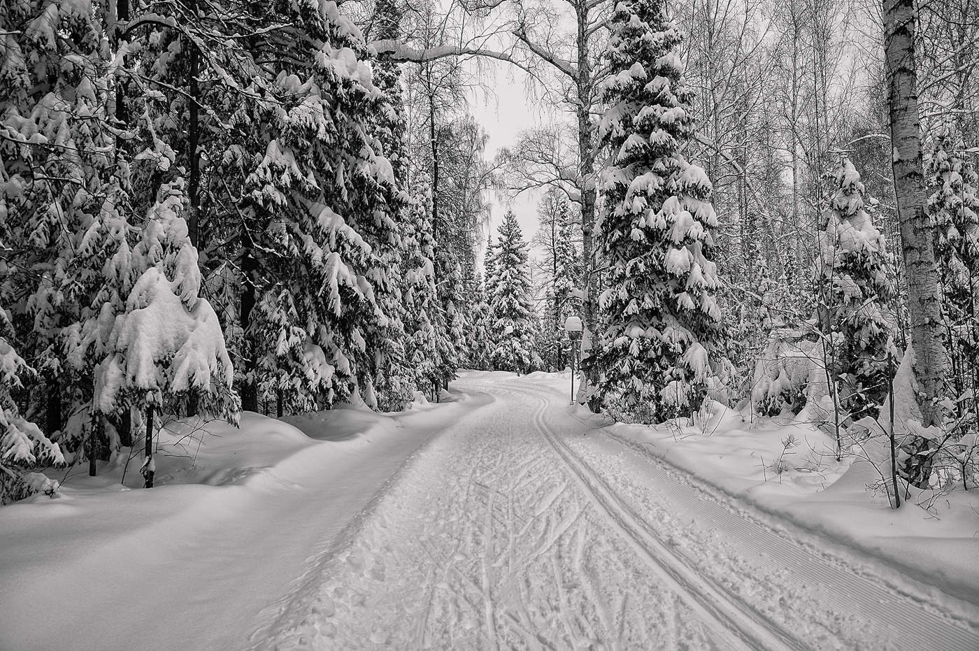 Лыжная трасса