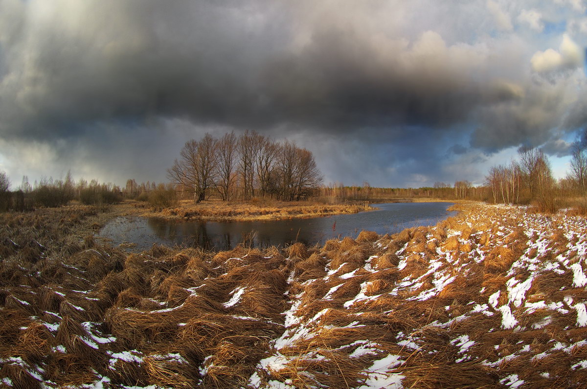 Весенние контрасты