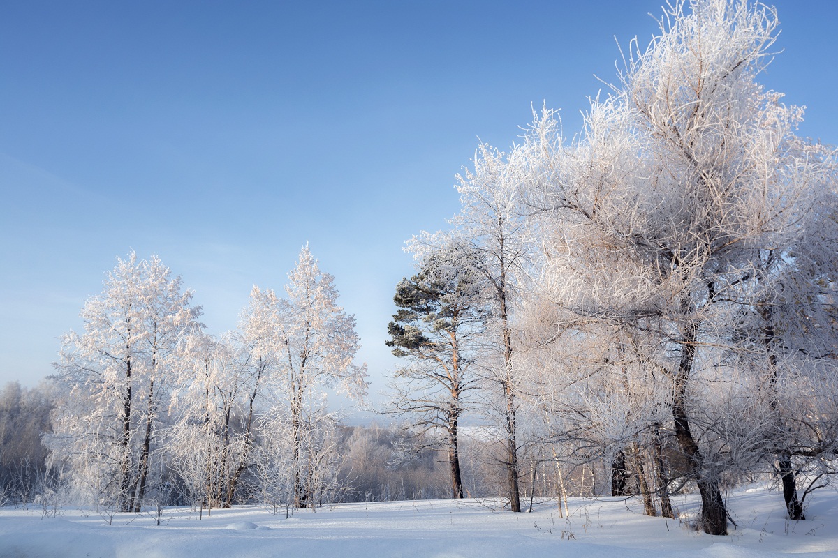 Зимний наряд.