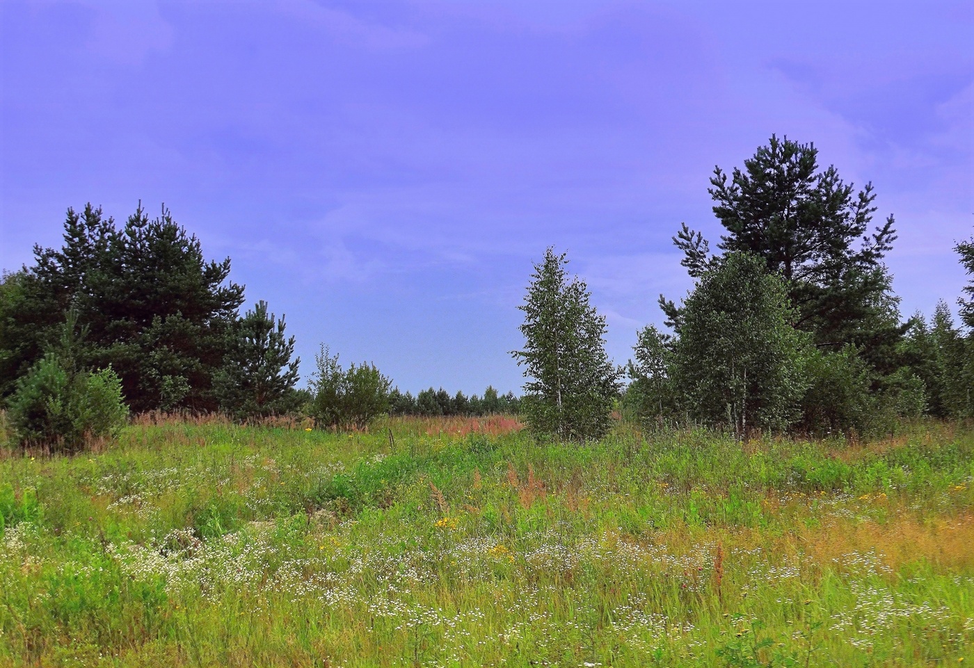 Гроза собирается