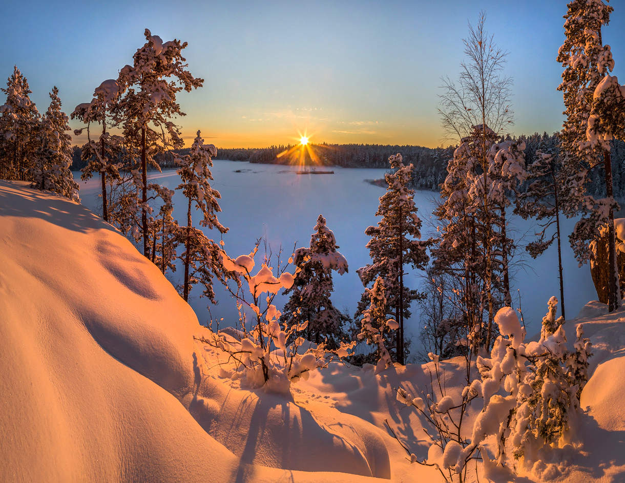Солнечная звезда.