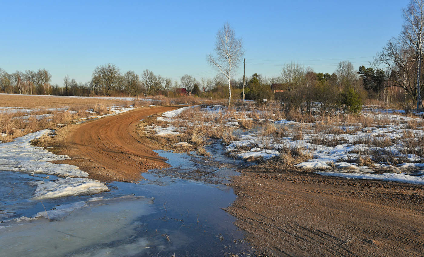 Опять весна душистая повеяла крылом...