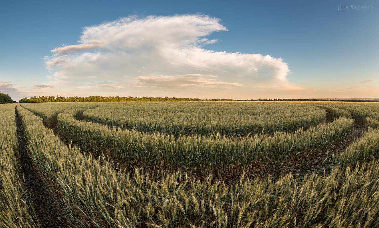 Опять эти инопланетяне...
