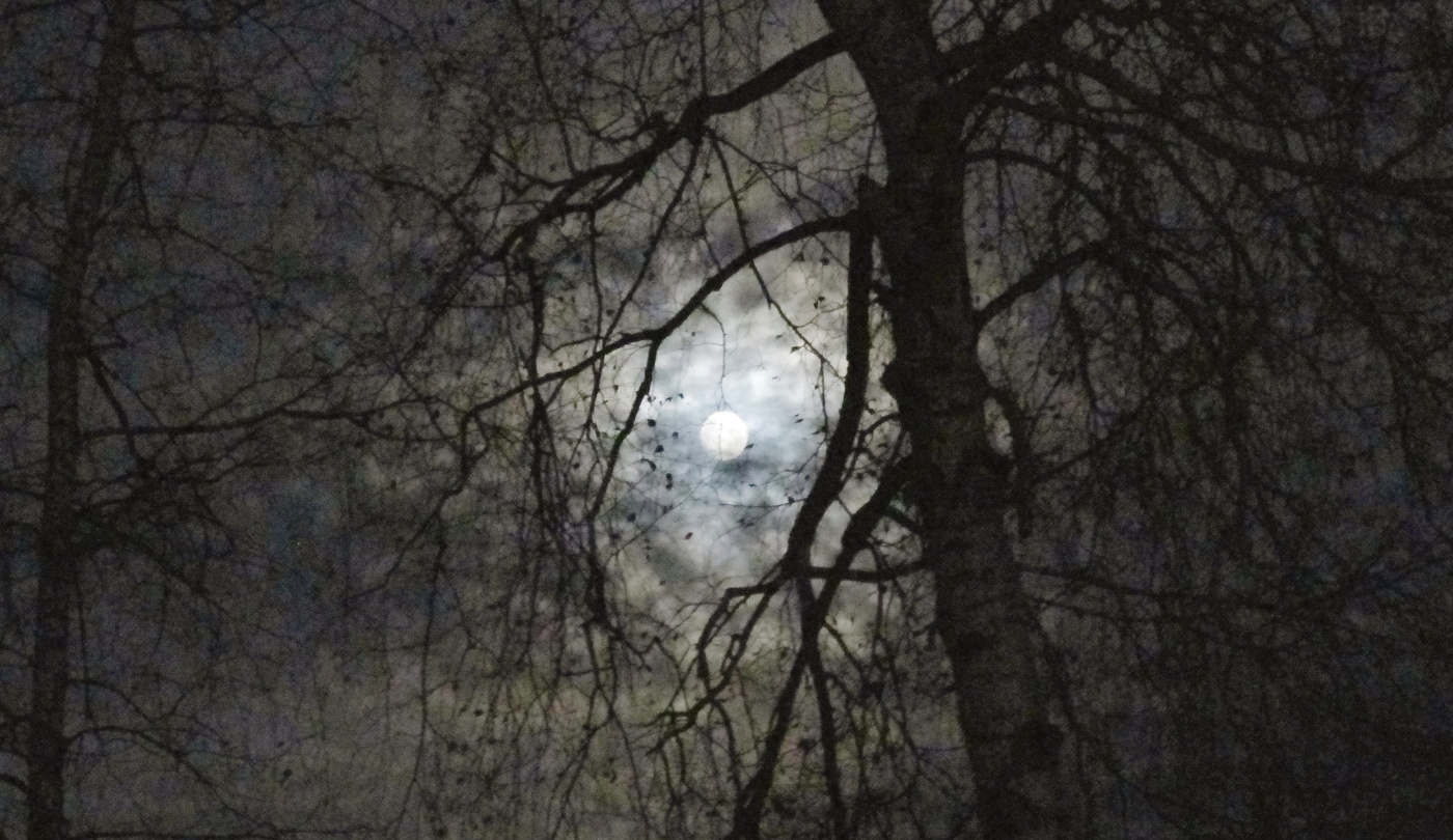 Услышишь только ты