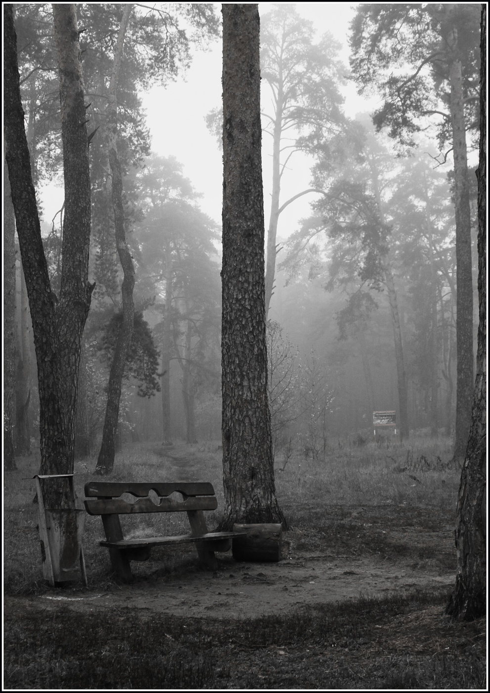 унылое утро осени