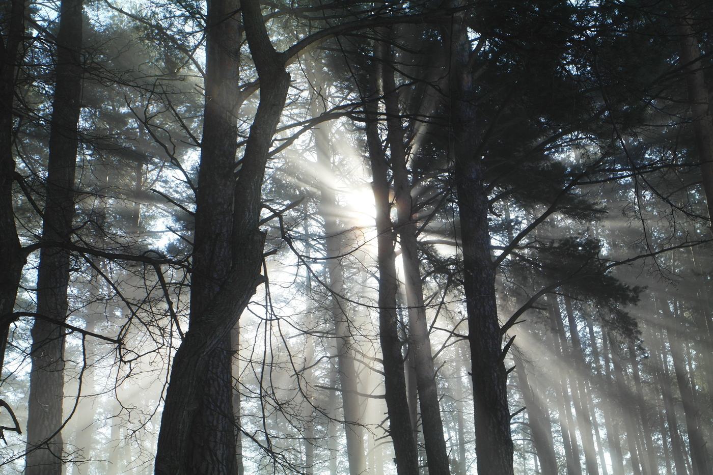 Светить всегда,светить везде!