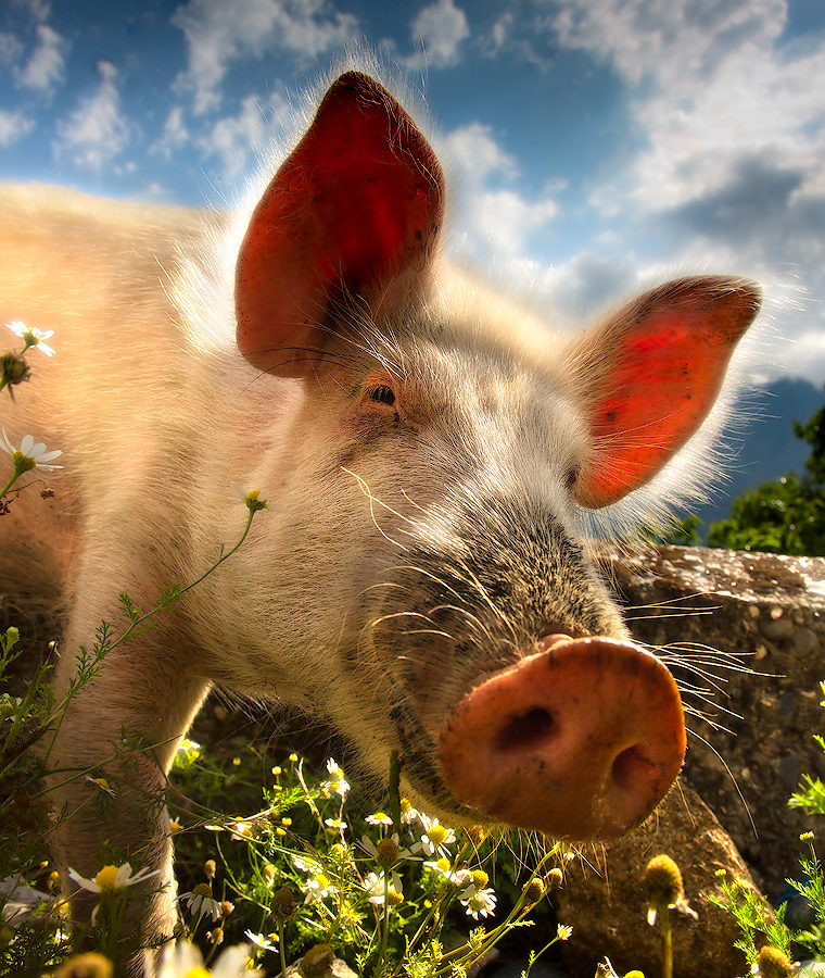 от улыбки хмурый день...