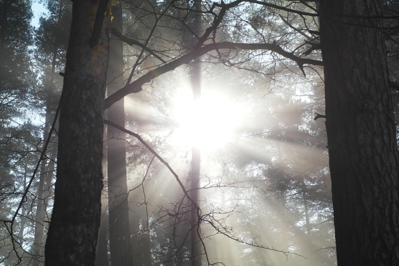 Утро туманное.