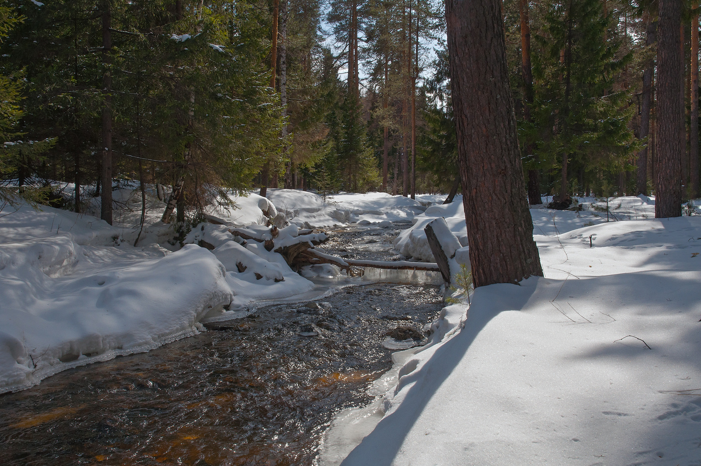Наступление весны