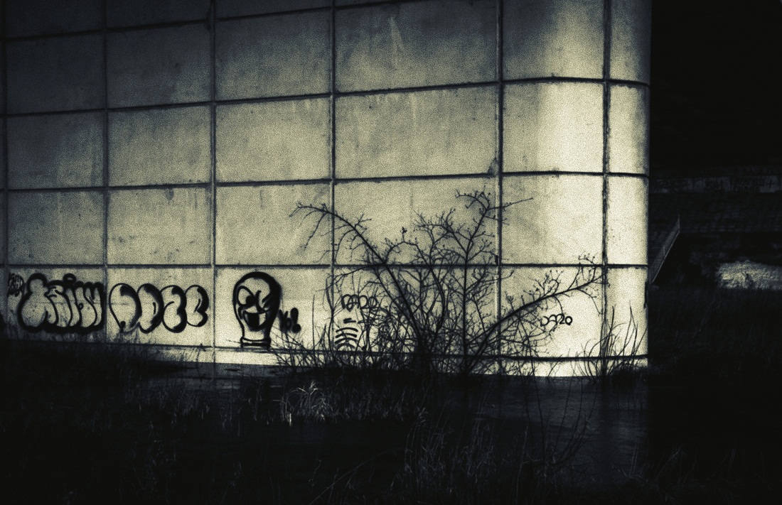 Они среди нас, Yo!