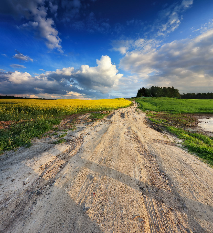 Май под Минском