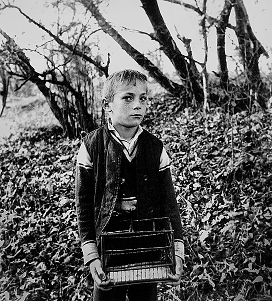 Птицелов. 1985 г.