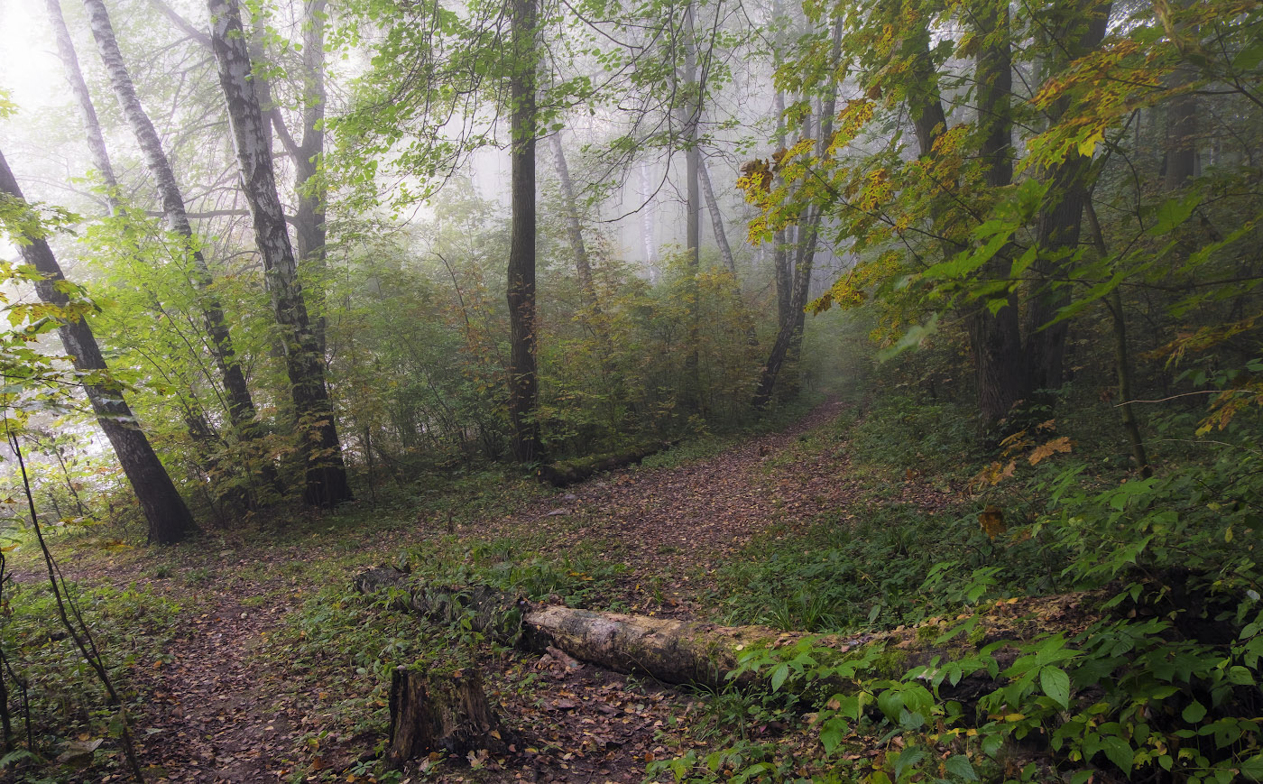 Осенний лес.