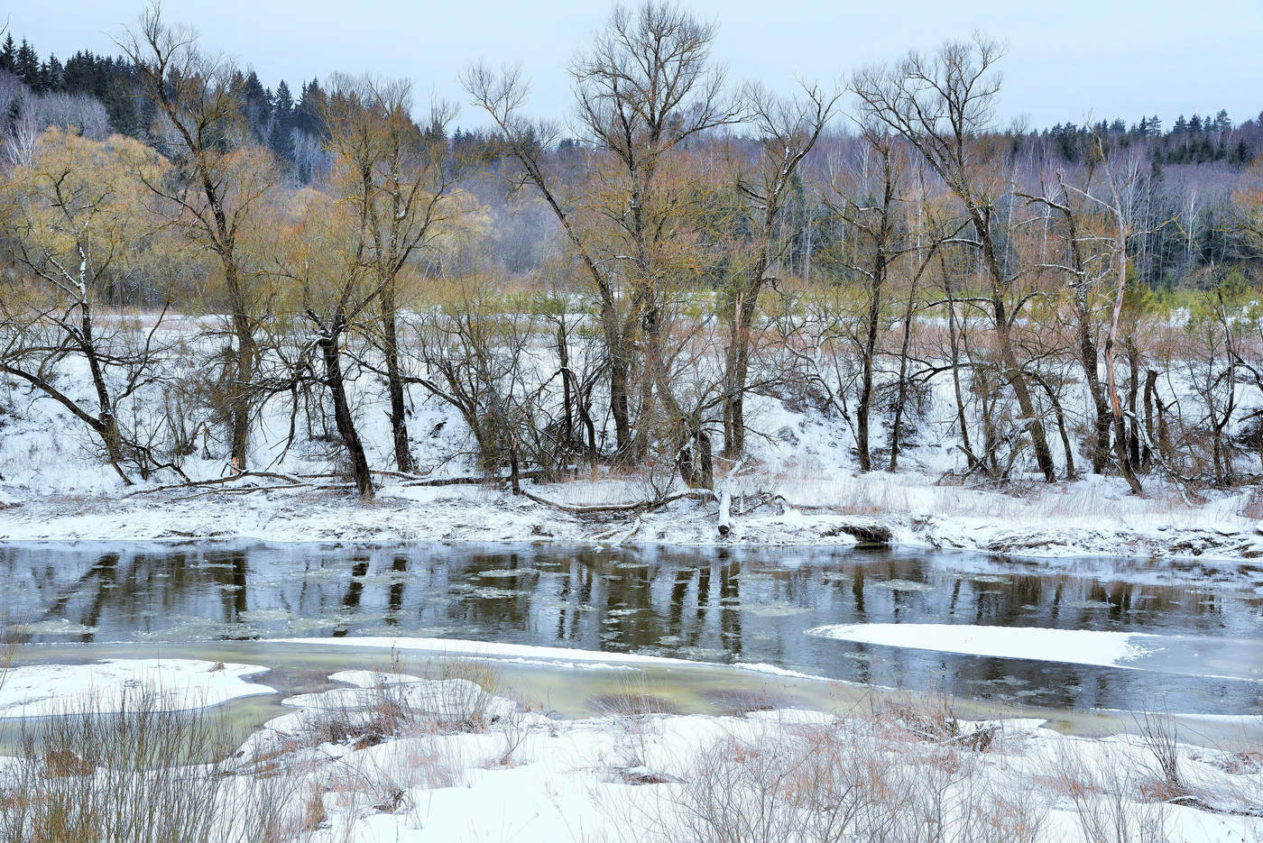 Ну, вот вам, братцы, и весна...