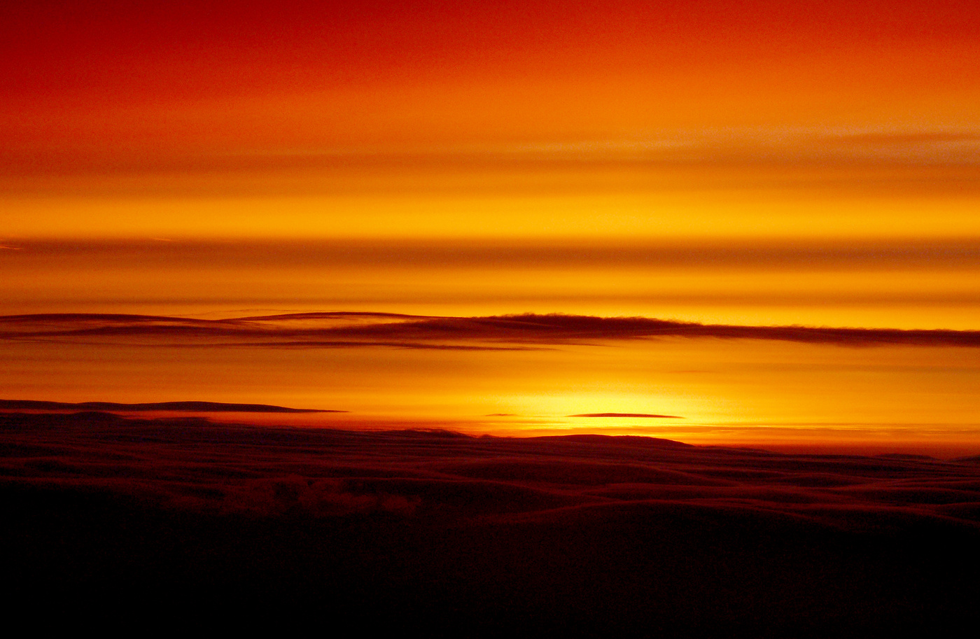 Уходит чтобы вернуться