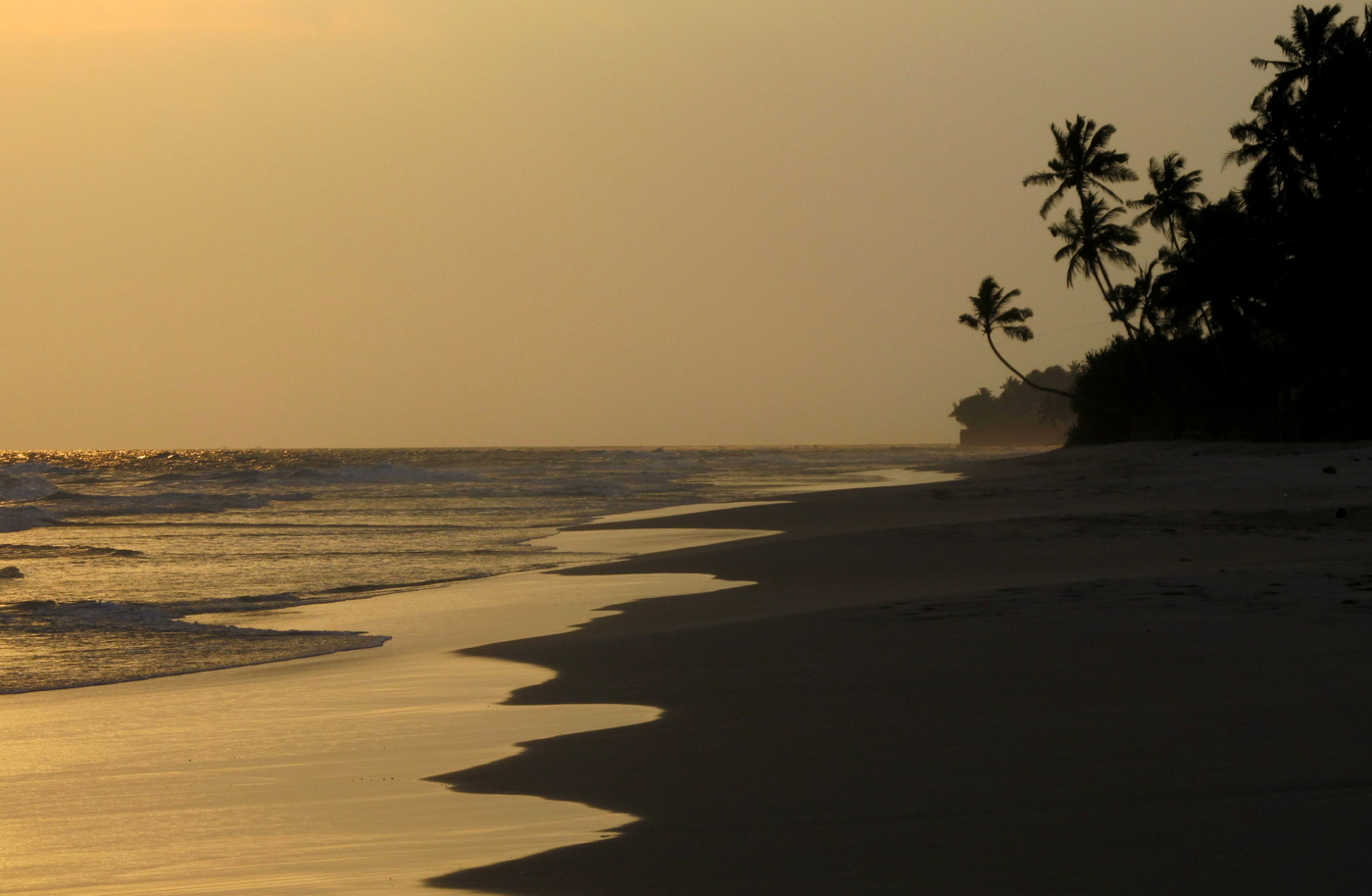 *На берегу океана**