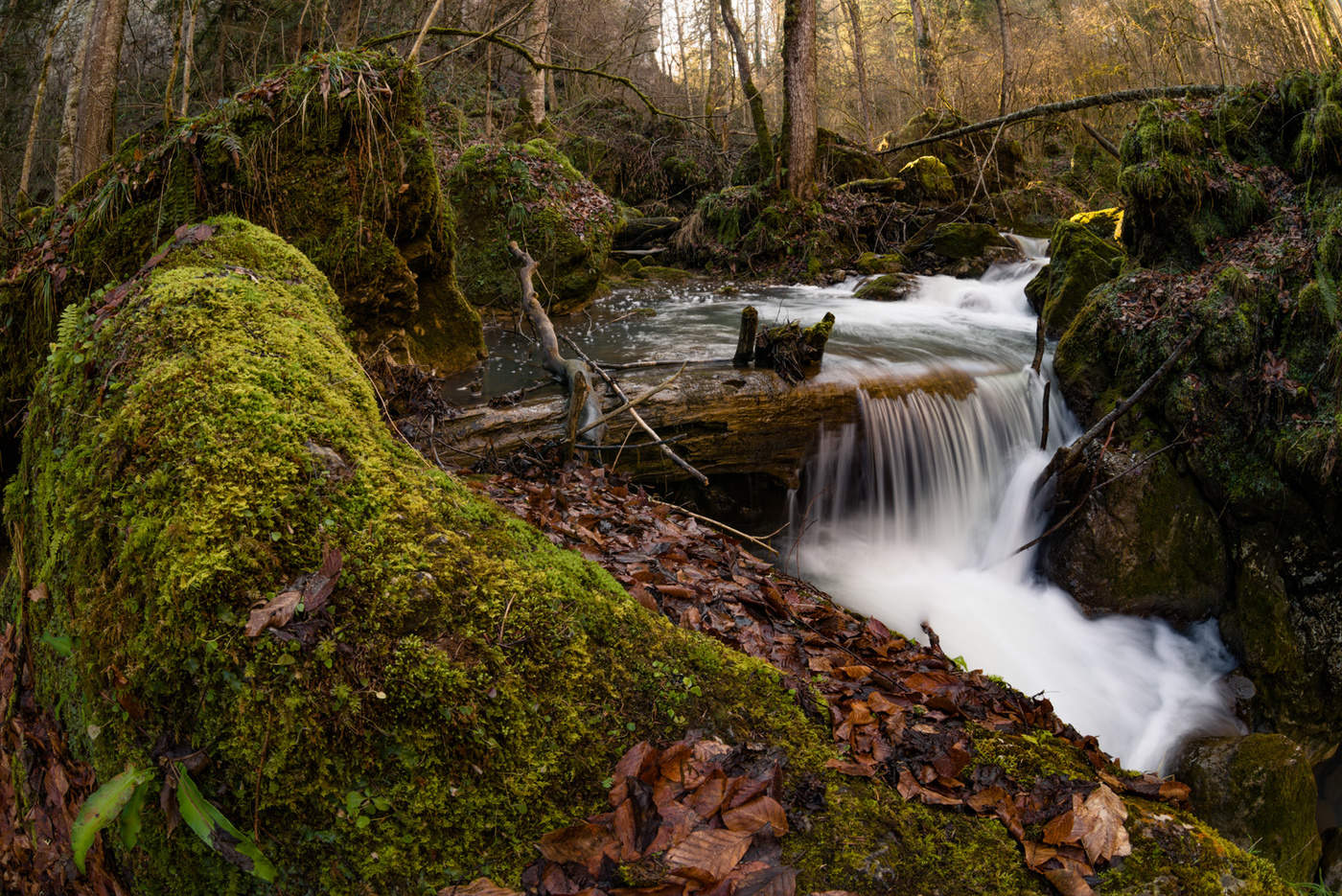По Мезмаю в начале марта
