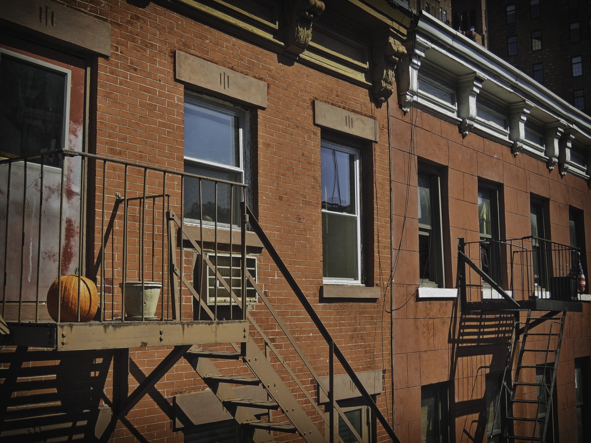 Жизнь как она есть