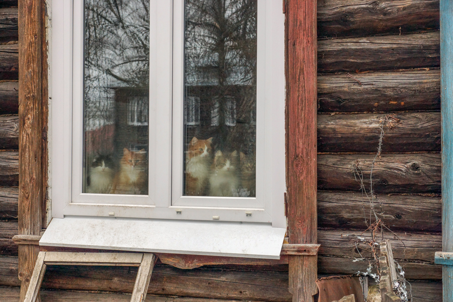 Жизнь как она есть