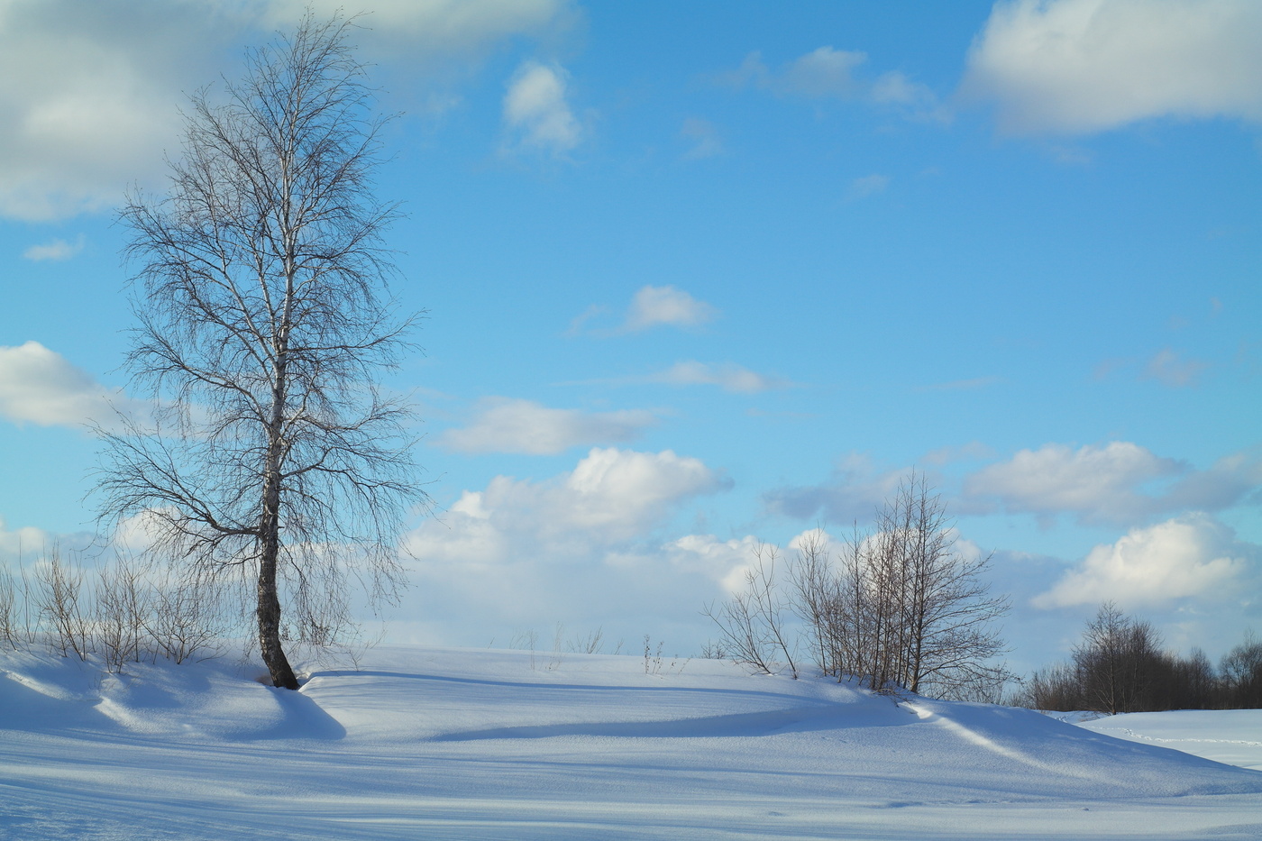 Там,у берёзы.