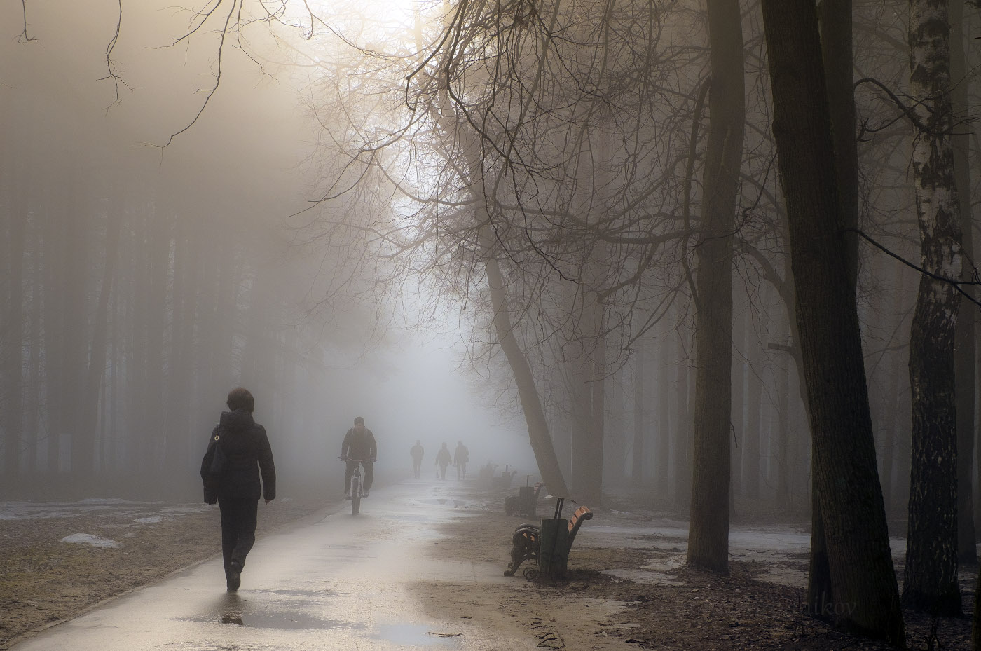 Весенние туманы.