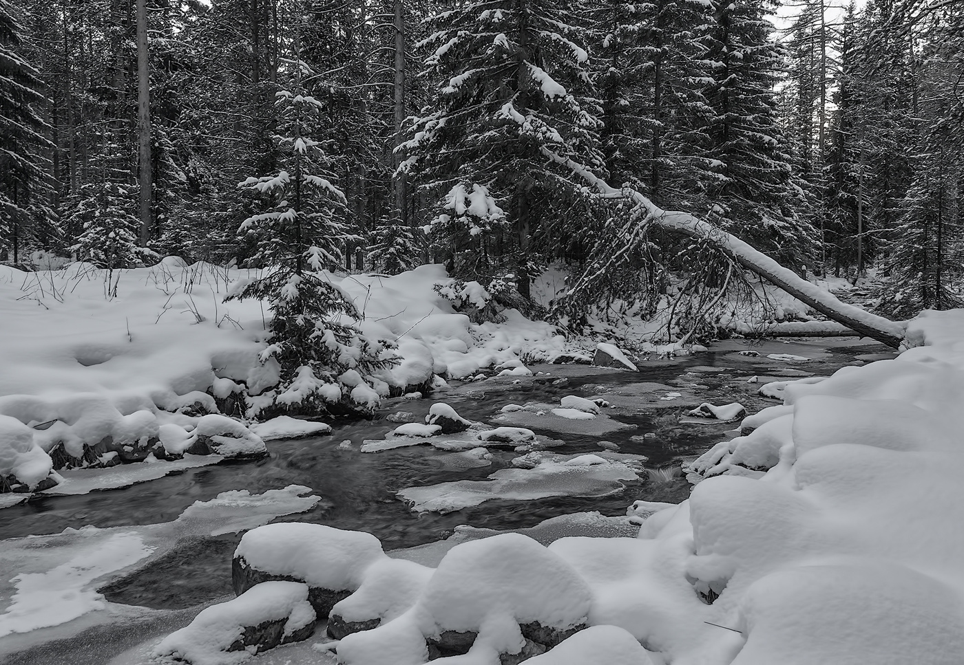 После снегопада