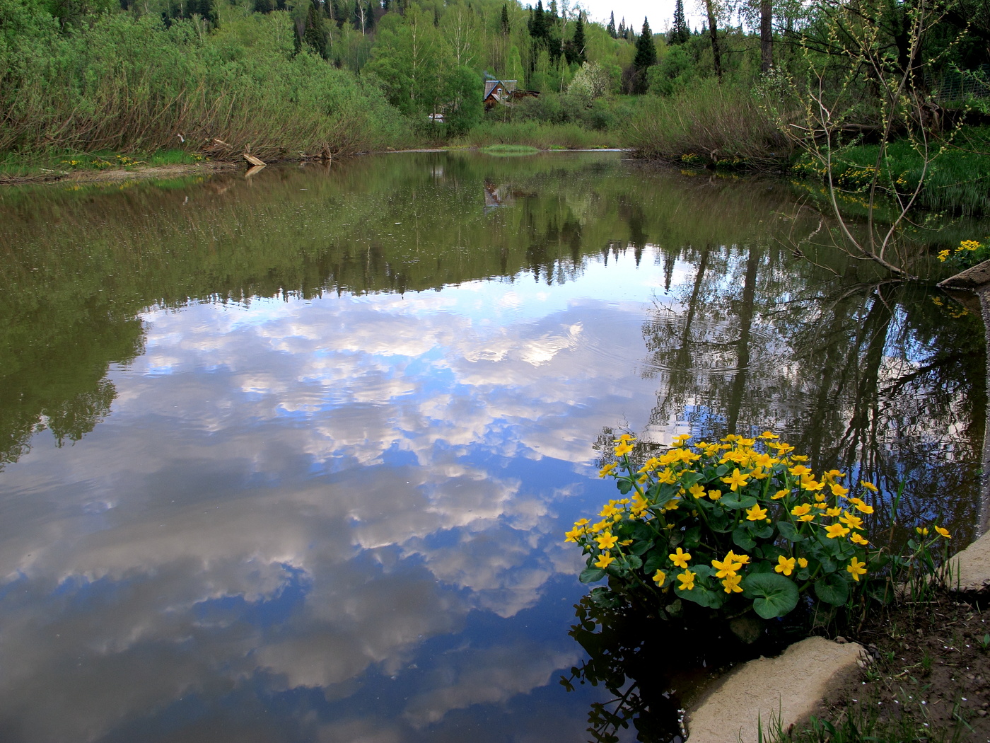 Был месяц май...