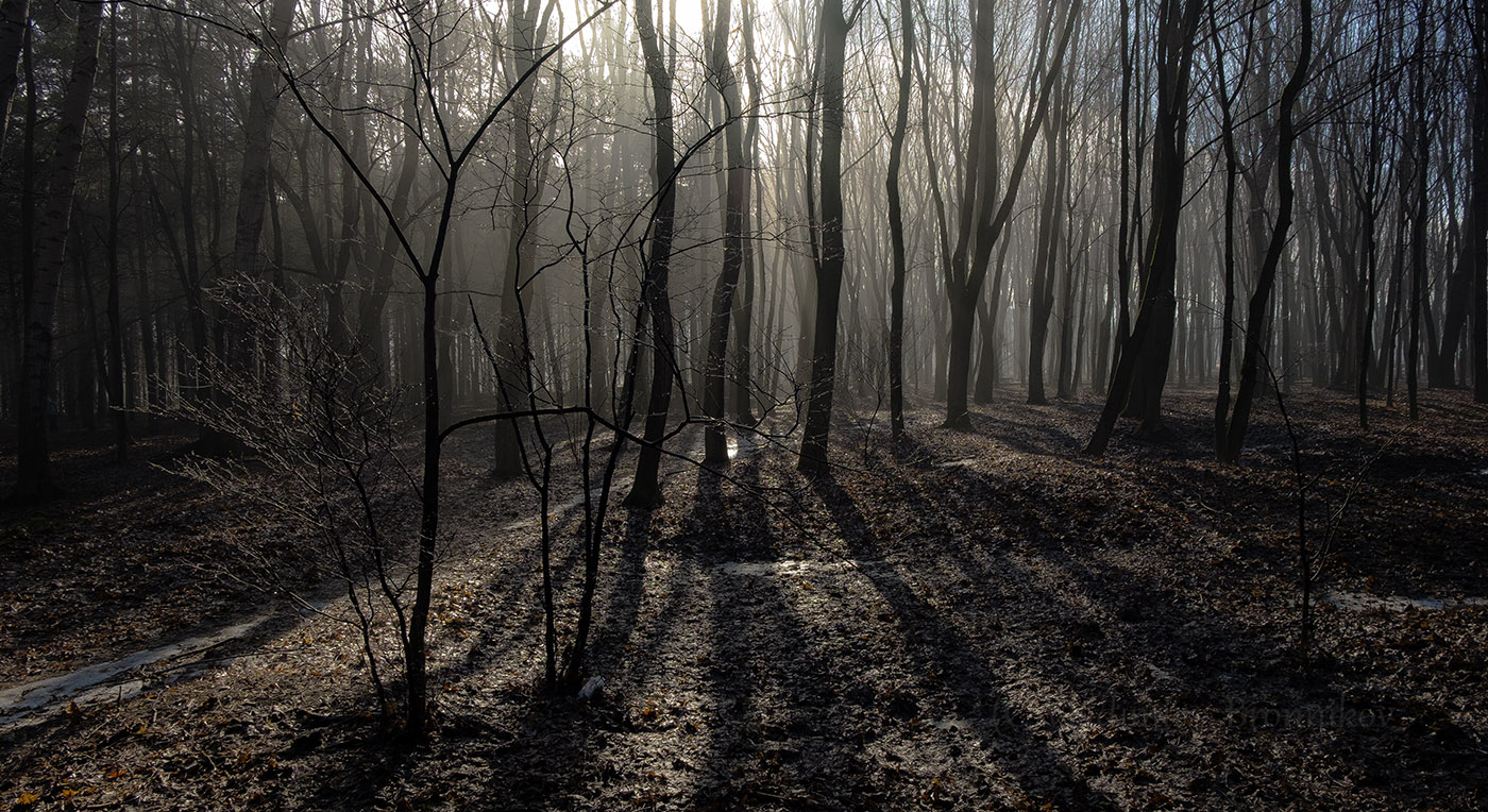 Весенние лучи.