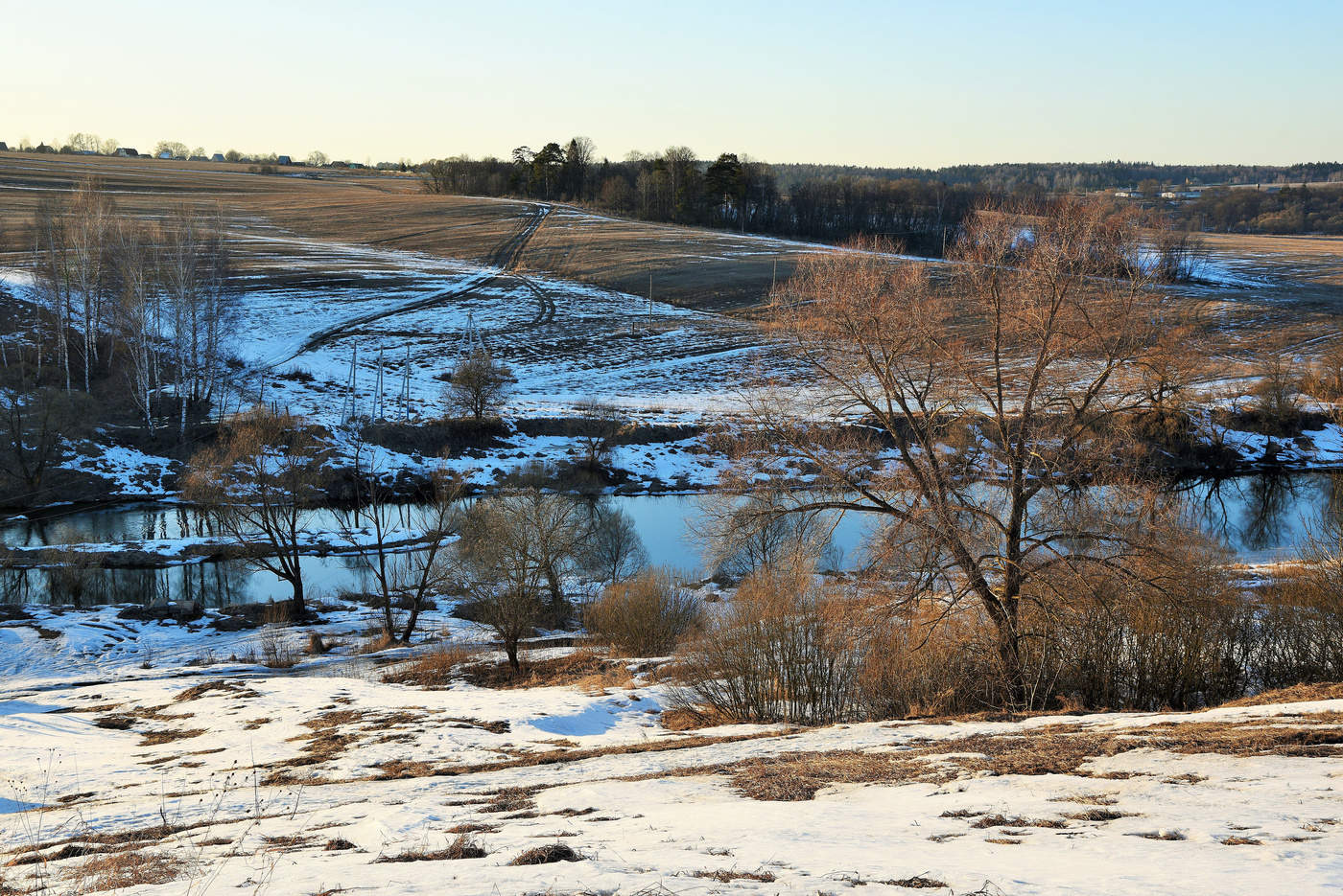 "Уступи мне, скворец, уголок..."