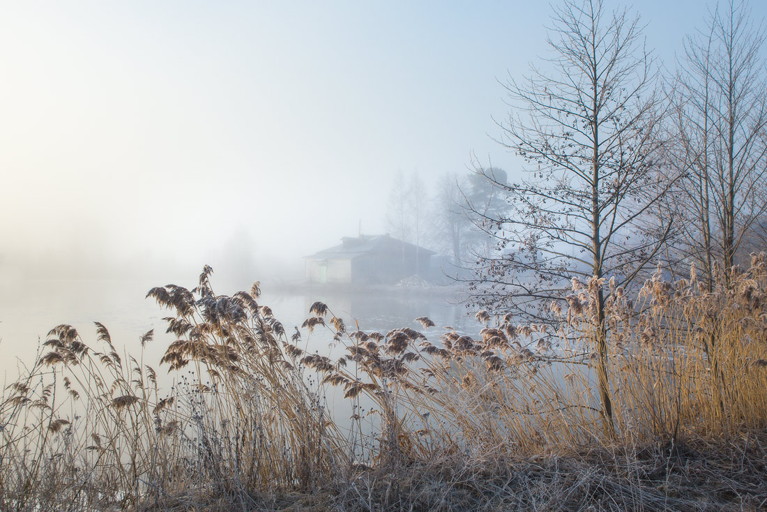 Нежное утро