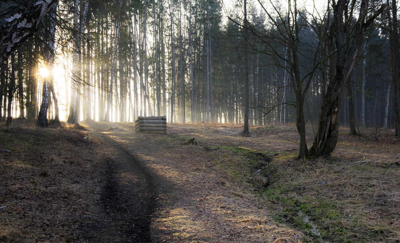 Апрельское утро в Ясной поляне.