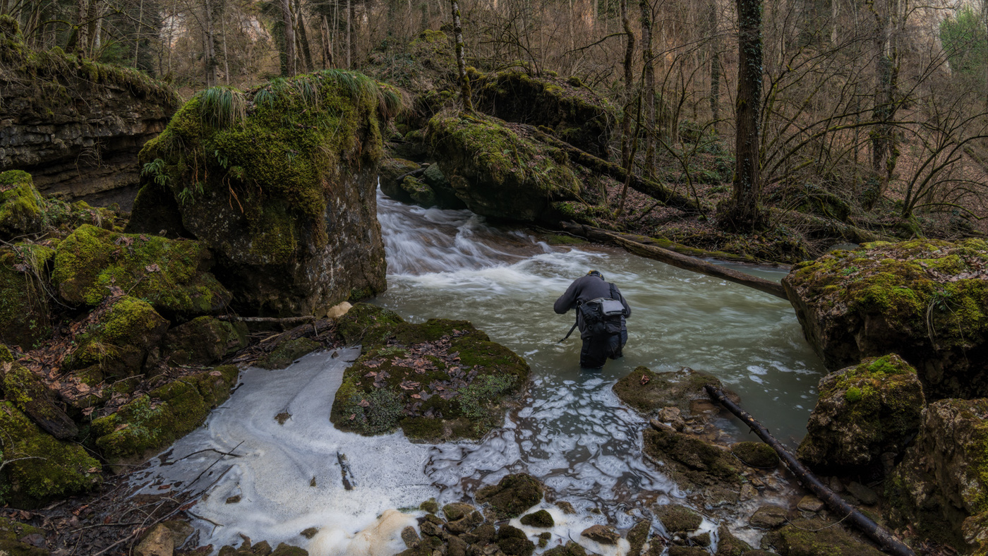 Это не пейзаж