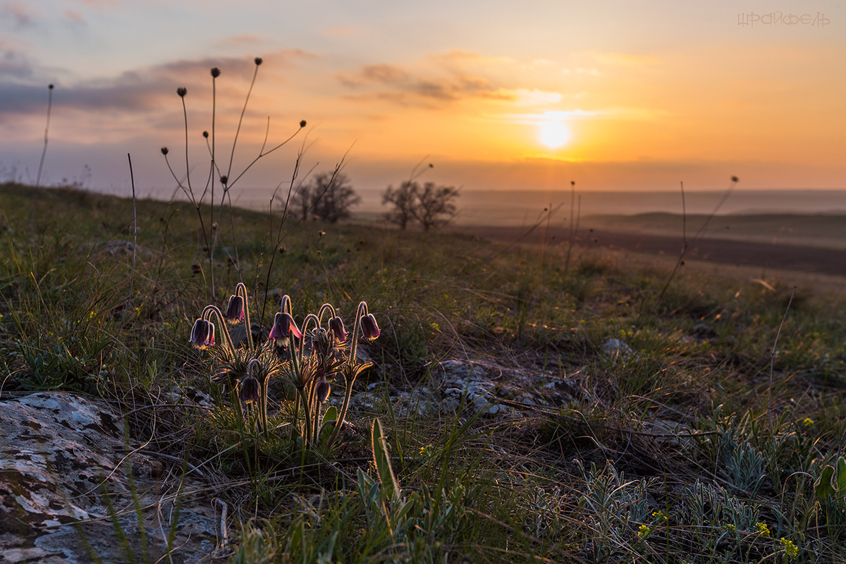 Закат 14 апреля 2016 г.