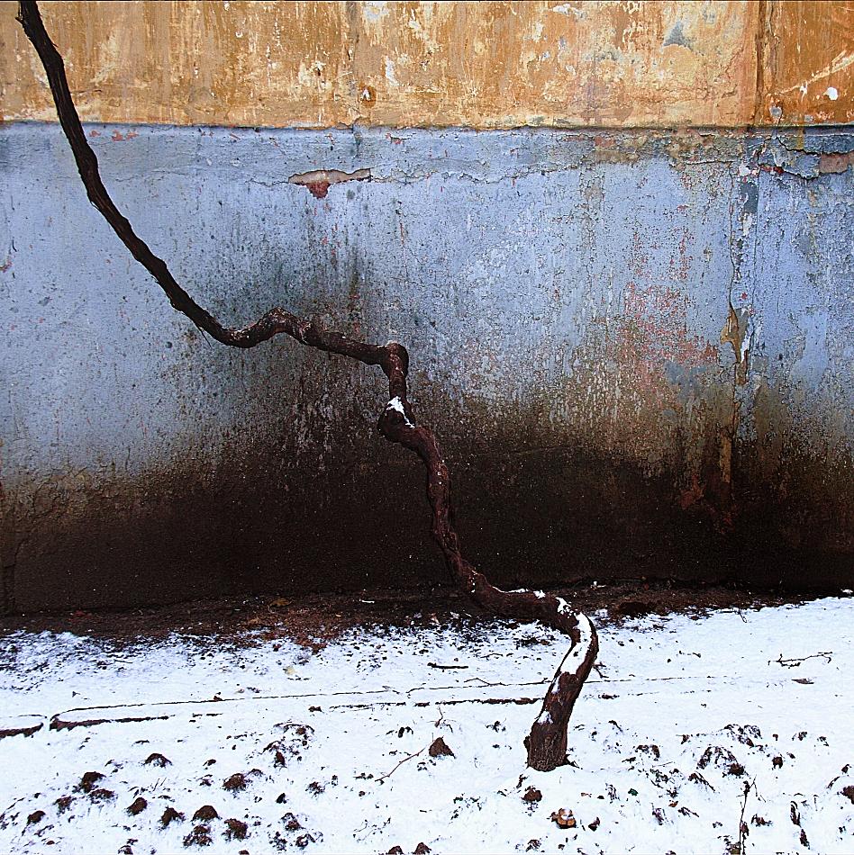 Извилистый мотив