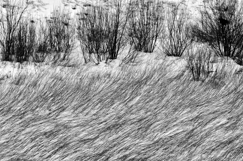 Извилистый мотив