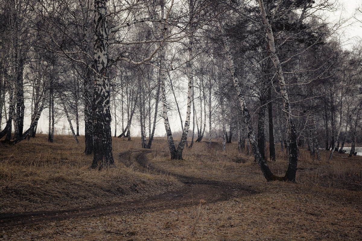 По дорогам весны.