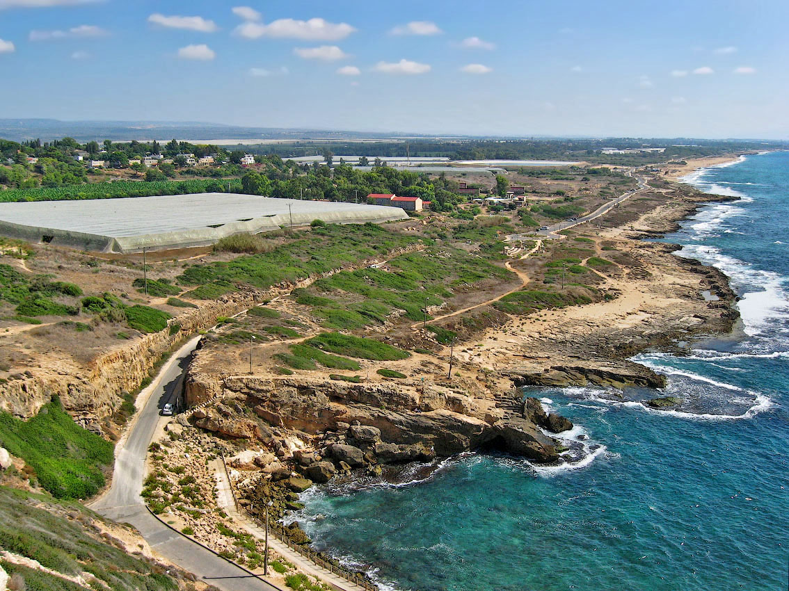 Извилистый мотив