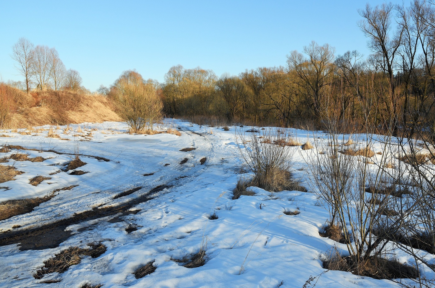 "Все ярче, ярче дни за днями..."