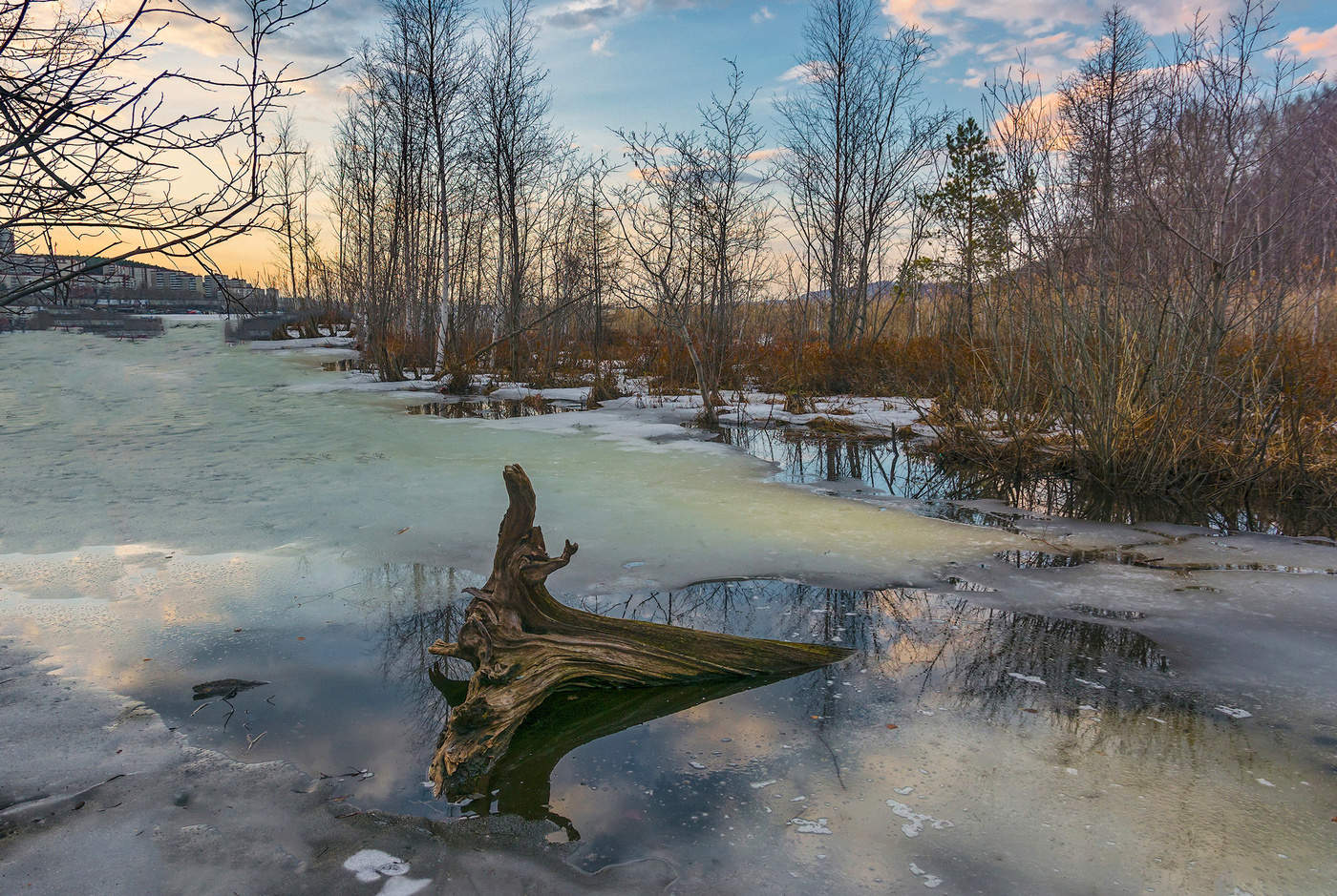 Весенние краски