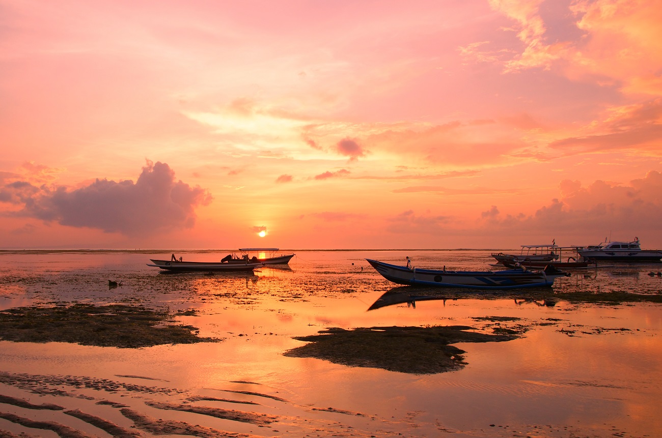 Розовое утро