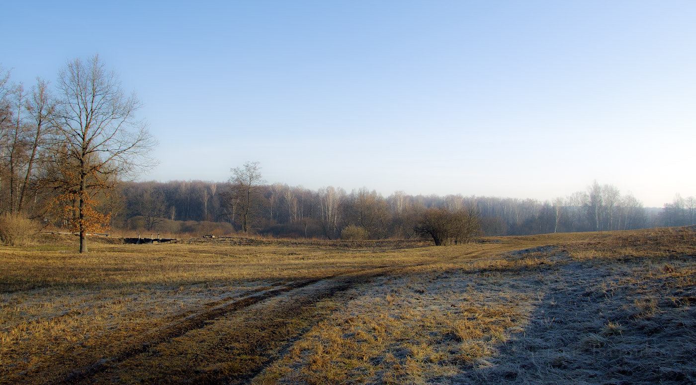 Утро на Калиновом лугу.