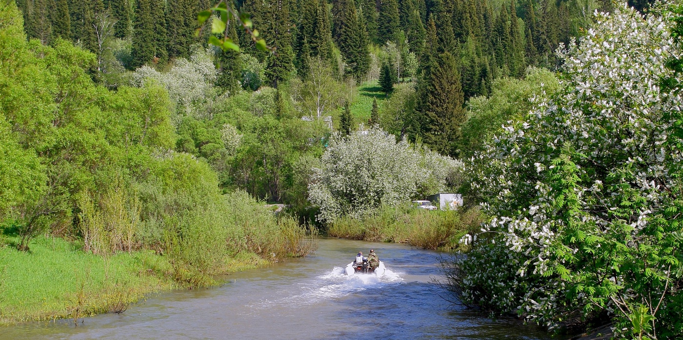 Разлив таежной речки