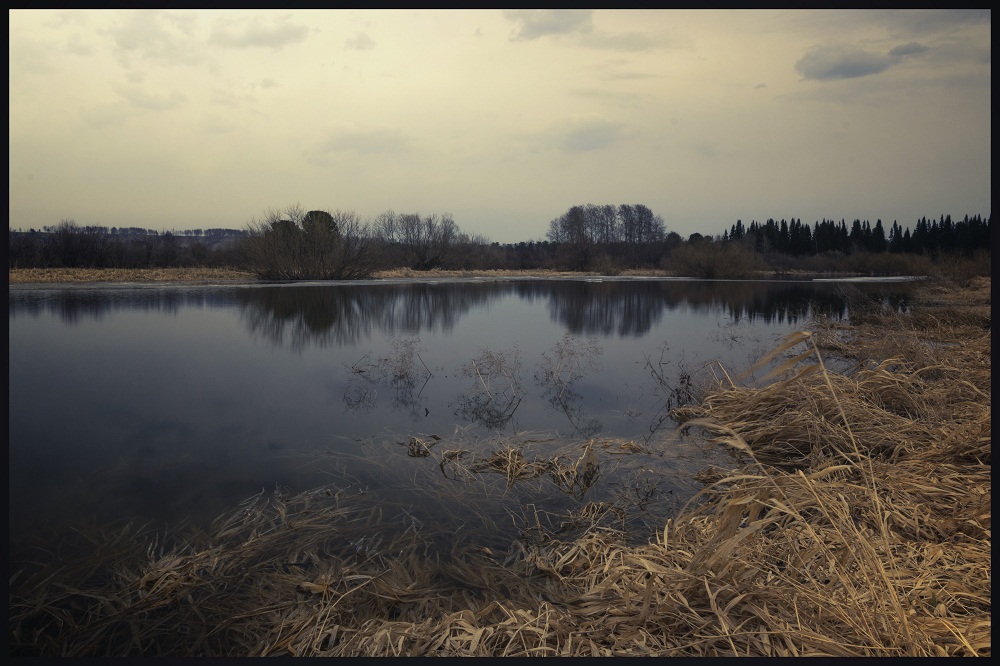 Весенние воды.