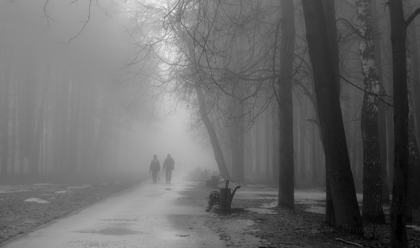 Идущие в туман.