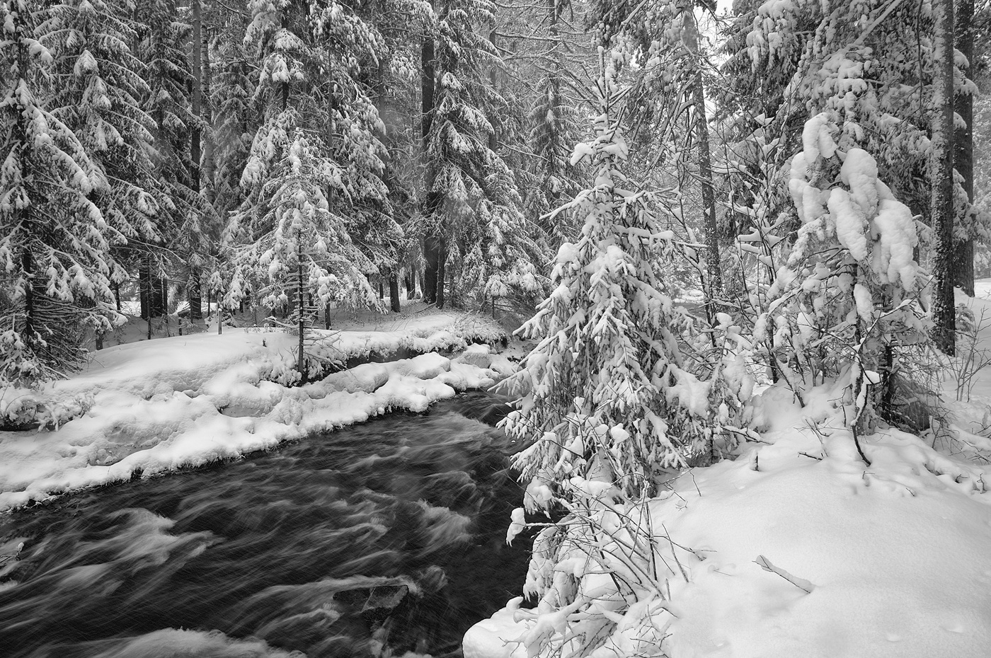 Возвращение зимы
