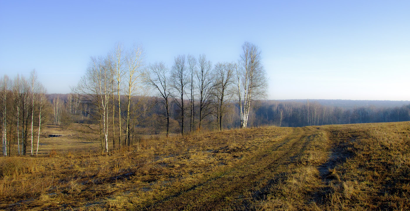 Весенние поля и дороги.